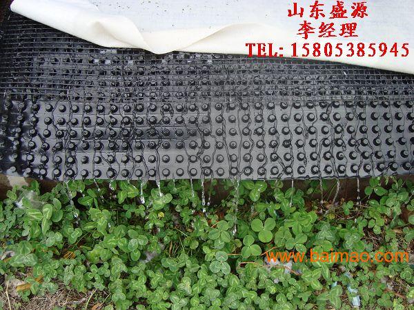 车库顶板绿化**用“塑料排水板#绿化排水板”供应-