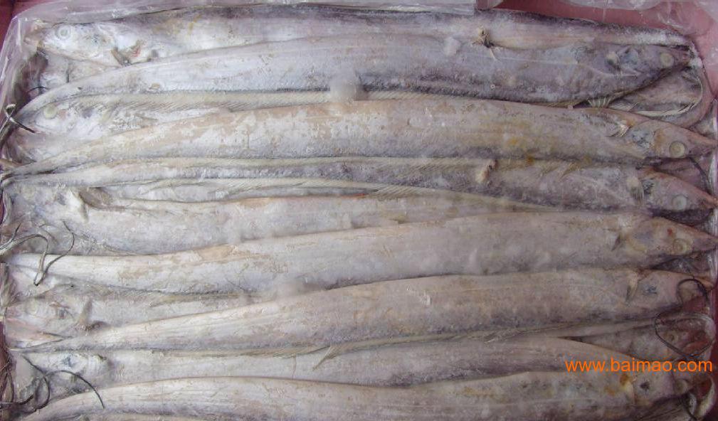 珠海供应冷冻秋刀鱼生产厂家，冷冻秋刀鱼价格