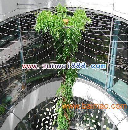 不锈钢绳绿植攀爬网--网面平整，绿色环保