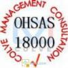 马鞍山OHSAS18001认证，马鞍山天荣认证