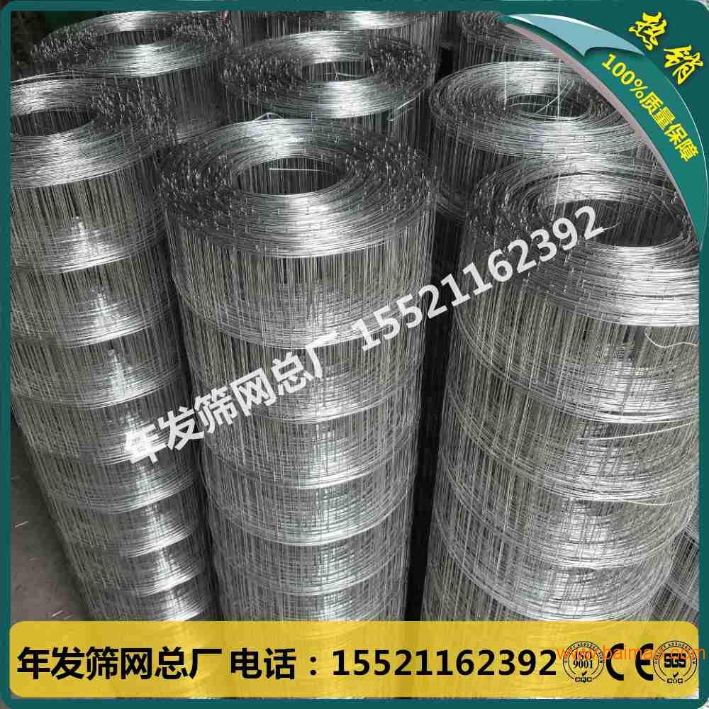 不锈钢电焊网 304建筑用不易生锈的焊接铁丝网价格