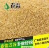 东旭粮油调味品有限公司-有知名度的熟小米批发商|小米价格