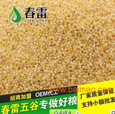 东旭粮油调味品有限公司-有知名度的熟小米批发商|小米价格