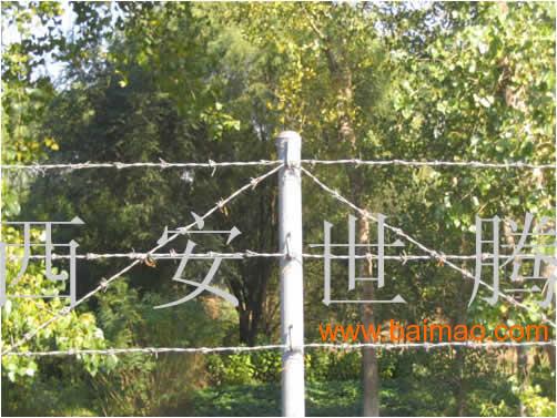 西安刺绳护栏网刺绳隔离网果园护栏网种植园防护网