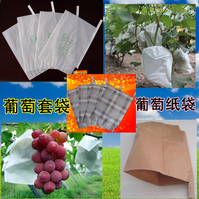 山东葡萄果袋机厂家，葡萄纸质套袋成型设备