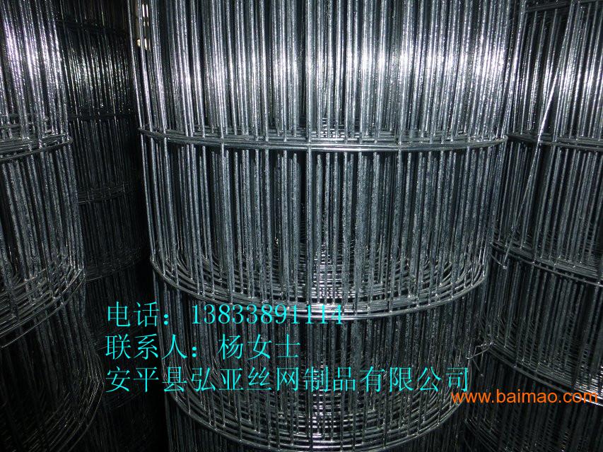 【改拔丝电焊网】济南市不锈钢圈玉米改拔丝电焊网厂家
