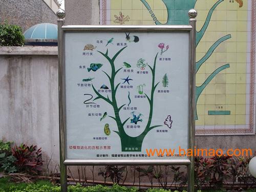 生物园模型,植物进化树下图是生物进化的大致过程.