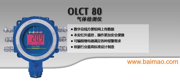 OLCT 80 气体检测变送器