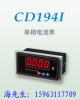 山东电力仪表CD194I-1×1,CD194U-1
