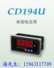 山东电力仪表CD194I-A×1,CD194U-A