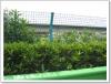找南京钢格板，南京护栏网，南京农业园围栏网，筛网。