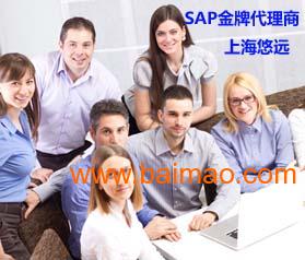用SAP ERP系统上海悠远SAP咨询公司
