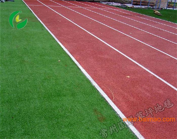 足球场人造草皮 篮球场草坪地毯 常州人工草坪地毯