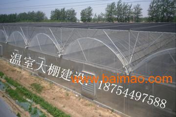 云南昆明连栋薄膜温室大棚建设案例--潍坊三禾农业