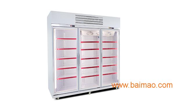 供应安德利定制版一体式保鲜冷藏柜饮料冰柜饮料柜厂家