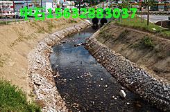 河床加固生态格网/护岸护坝绿格网/绿色生态格网