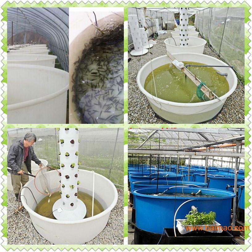 鱼苗孵化桶制作方法图片