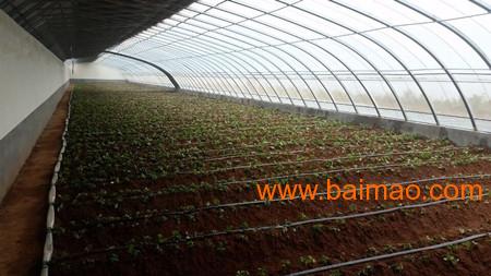 郑州**温室大棚建造典范种植蔬菜大棚搭建标准