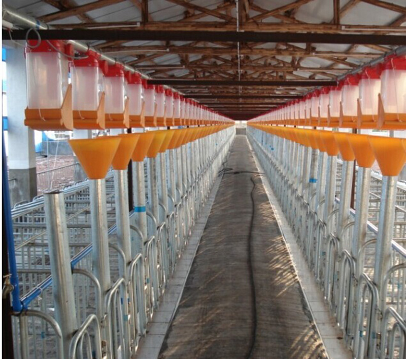 养猪料线厂家/批发/供应商