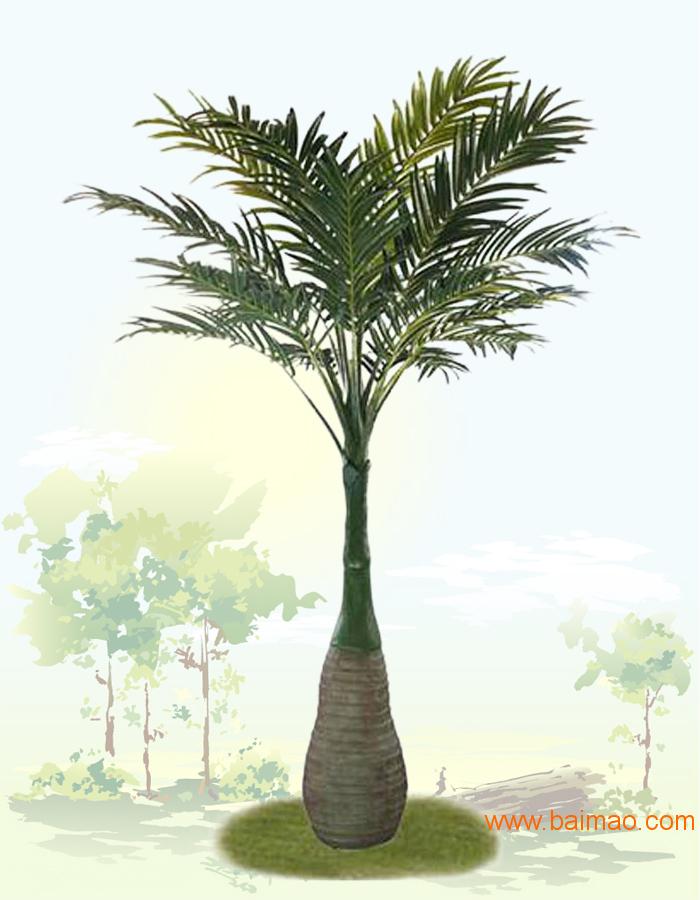 供应仿真椰子树