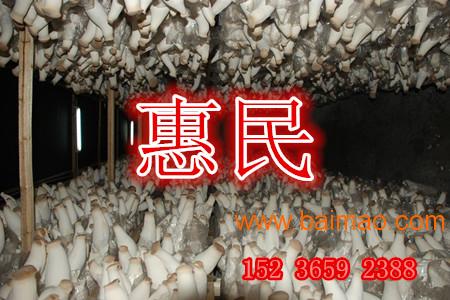 郑州惠民高产大棚食用菌商机安装 安阳养殖大棚