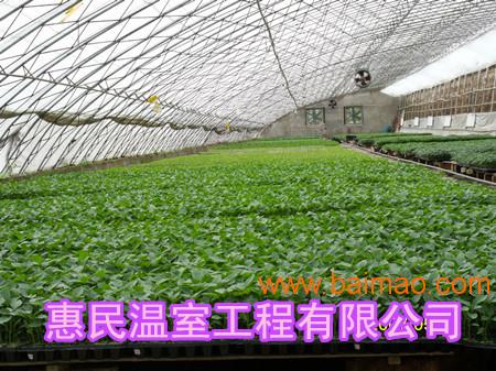 郑州安阳有机蔬菜大棚制造 惠民钢管温室大棚配件