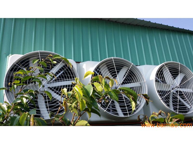 莆田工业排气扇 价位合理的玻璃钢负压风机供应信息