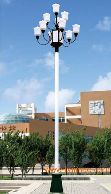 厂家直销订做特色户外LED景观灯 玉兰广场工程路灯