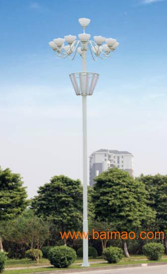 厂家直销订做特色户外LED景观灯 玉兰广场工程路灯