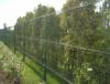 黄冈茶园围栏/花坛矮式三角折弯护栏/果园钢丝网