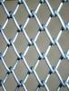 养殖围栏网厂家 浸塑围栏网规格