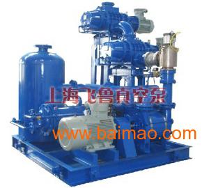 罗茨水环真空机组-上海真空泵厂家、价格、原理、型号