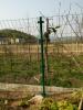 铁丝网荷兰网果园围栏绿化养殖绿色围栏网浸塑电焊网