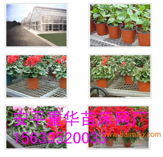 安平县温室移动苗床|温室育苗床价格|温室喷灌系统