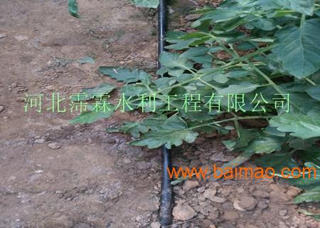陕西省汉中地区大棚节水滴灌 16毫米滴灌管详细图