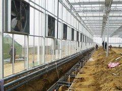 潍坊市哪里有提供信誉好的玻璃温室大棚建造