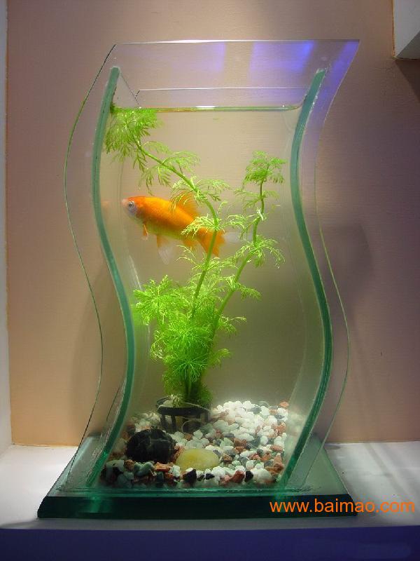 亚克力鱼缸-鱼缸,水族箱,生态鱼缸,有机玻璃鱼缸
