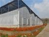 PC板温室|阳光板温室-寿光市万禾农业科技有限公司