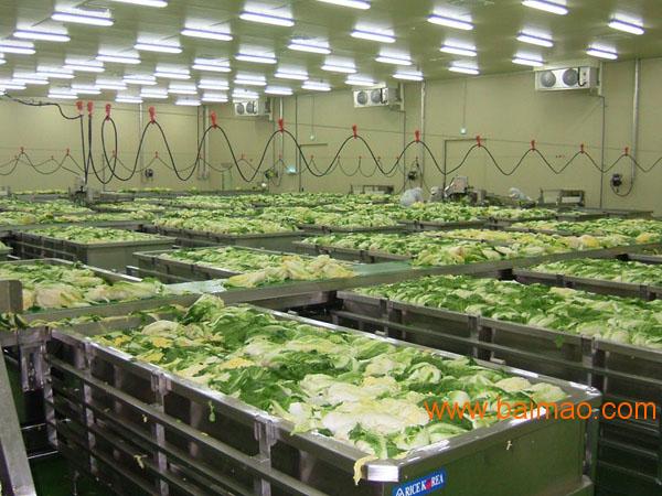 果蔬加工设备、果蔬加工机械、蔬菜类清洗机