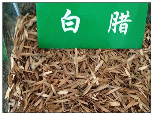 白蜡种子