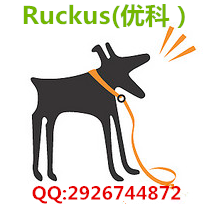 ruckusR310优科901-R310-WW02