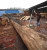 马来西亚菠萝格30*100木方板材上海厂家供应订做