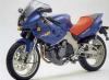 Yamaha SZR660 两轮摩托车市场