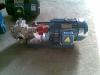 LQB6/0.36型沥青泵-保温沥青泵-保温齿轮泵