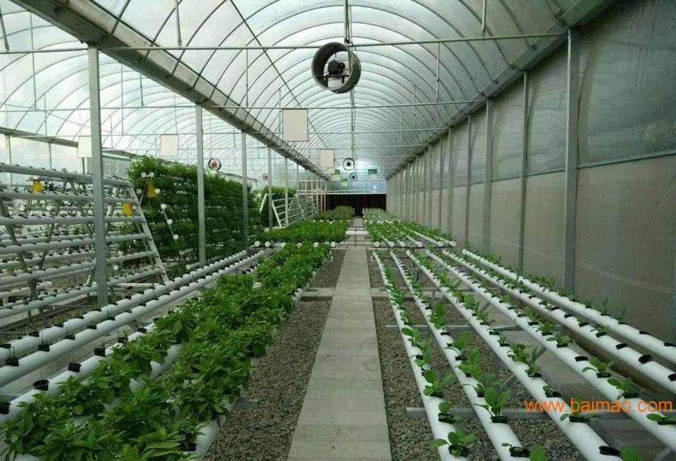 智能温室大棚-蔬菜智能温室大棚-智能温室大棚介绍-信阳智能温室大棚