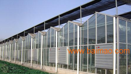 延平阳光板温室大棚|阳光板温室大棚建造厂家