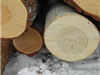 红铁木|绿丙桑|杜卡木材一般贸易进口报关