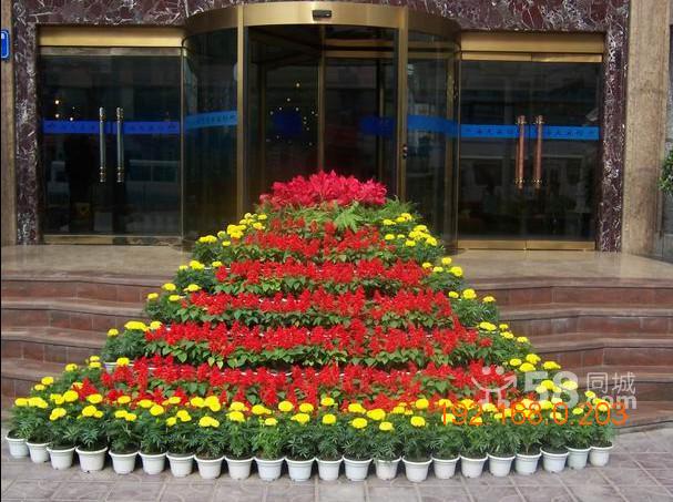 优惠的武汉花卉租摆是由绿艺轩提供的    _可信赖的花卉租赁
