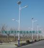 河北农村道路亮化提升使用太阳能路灯**恩泽节能