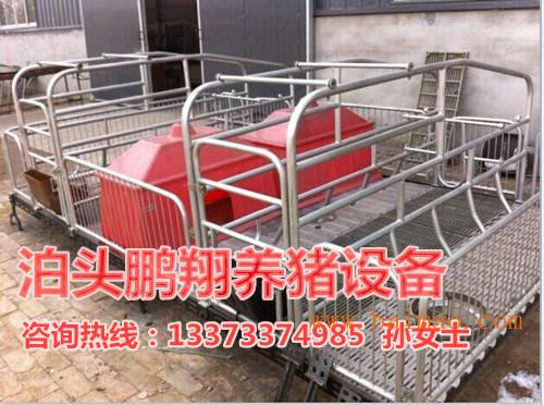 供应山西养猪设备 双体猪产床尺寸 铸铁产床厂家批发
